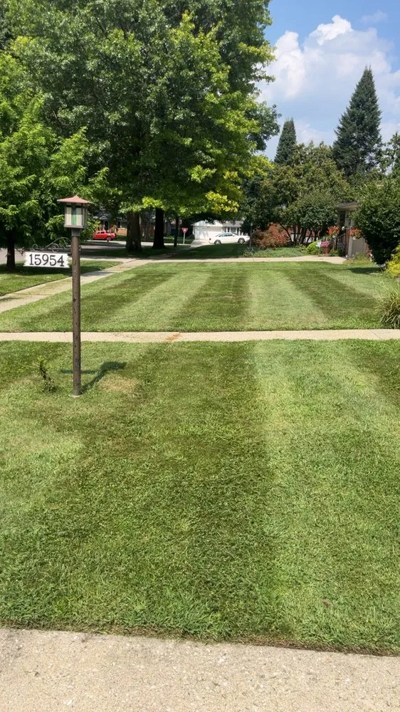 Expert yard maintenance in Livonia, MI - Henry's Lawn and Tree