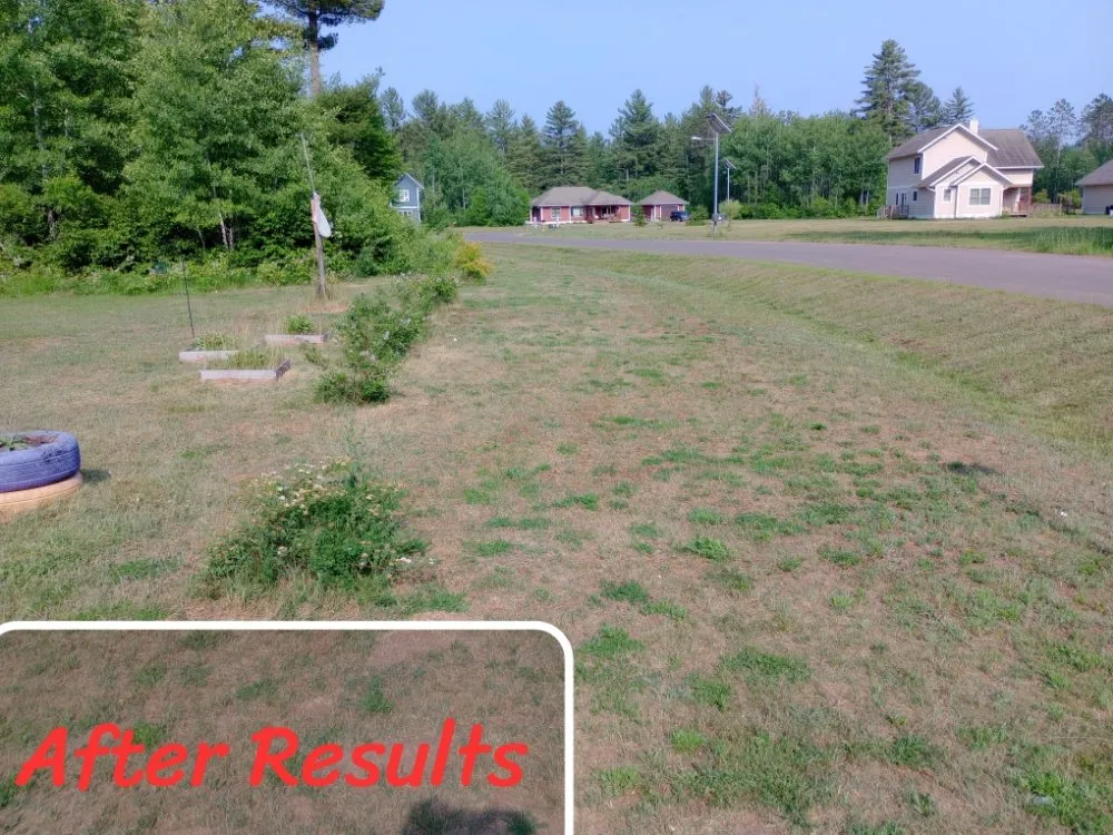 Local yard maintenance in Hayward, WI by Henry's Lawn Care