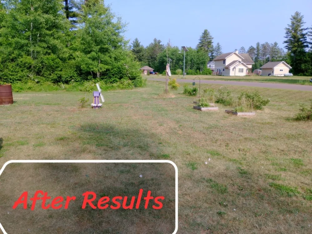 Affordable landscape design in Hayward, WI by Henry's Lawn Care