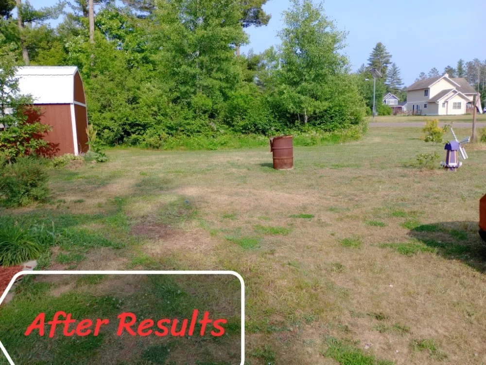 Expert landscape design in Hayward, WI - Henry's Lawn Care