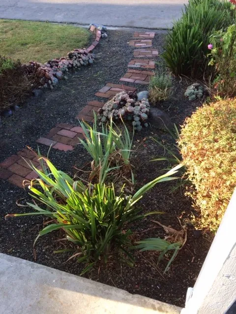 Reliable lawn care service experts serving Arcata, CA - Henry's Solar Powered Landscape Maintenance