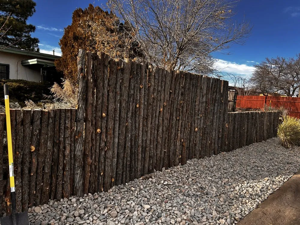 Local yard cleanup service experts serving Santa Fe, NM - Henry’s Tree Experience