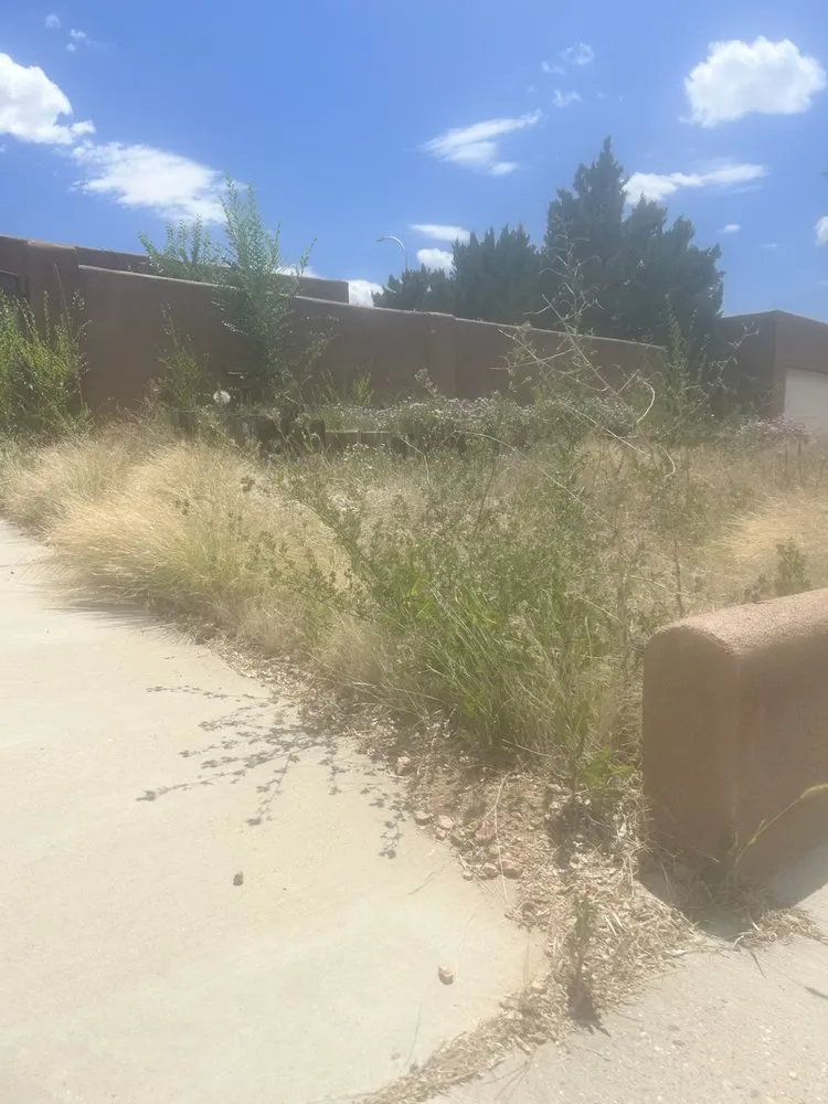 Top-rated yard cleanup service for residential properties in Santa Fe, NM by Henry’s Tree Experience