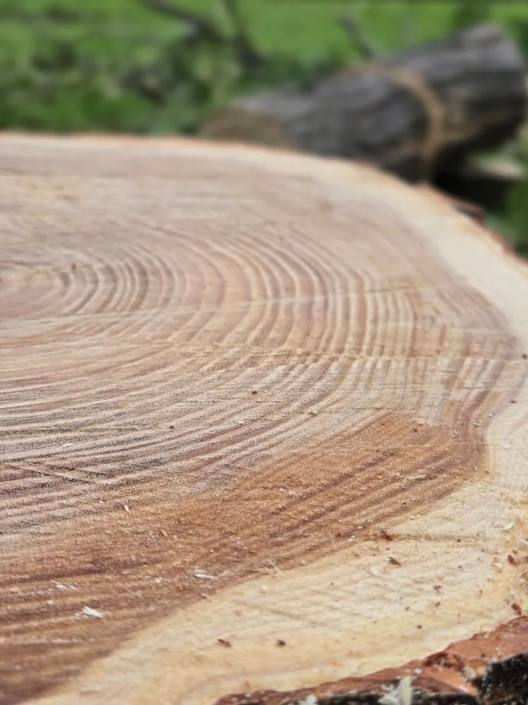 Top-rated landscape design for residential properties across Santa Fe, NM - Henry’s Tree Experience