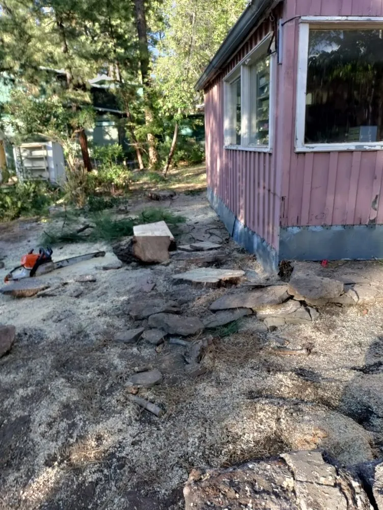 Top-rated residential landscaping in Santa Fe, NM - Henry’s Tree Experience