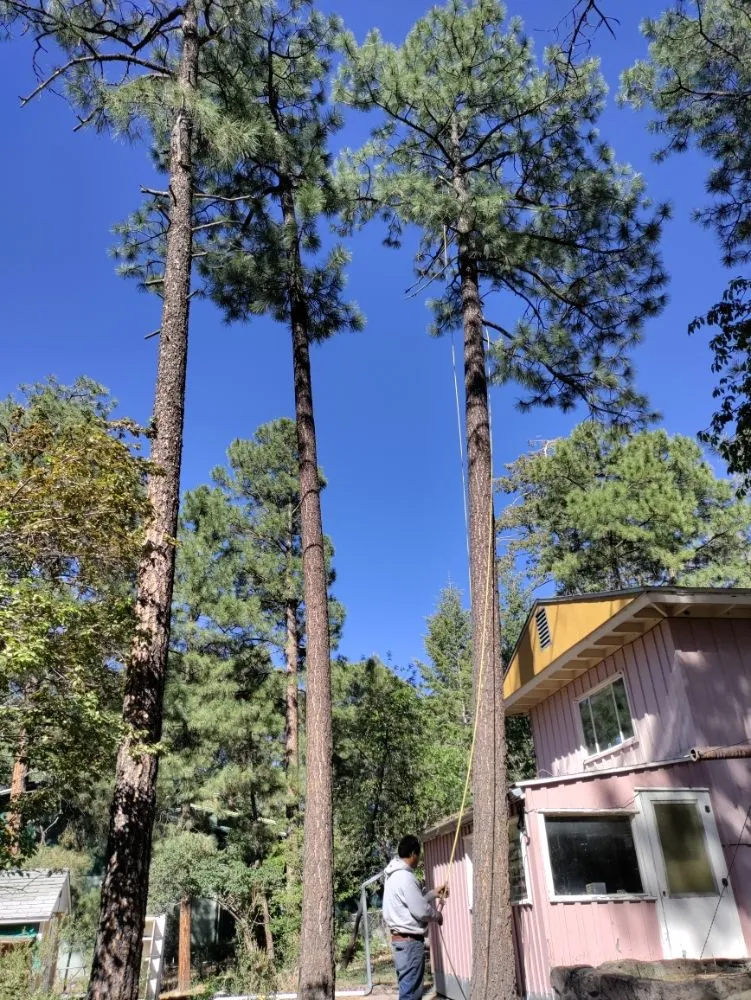 Top-rated lawn care service for outdoor upgrades across Santa Fe, NM - Henry’s Tree Experience