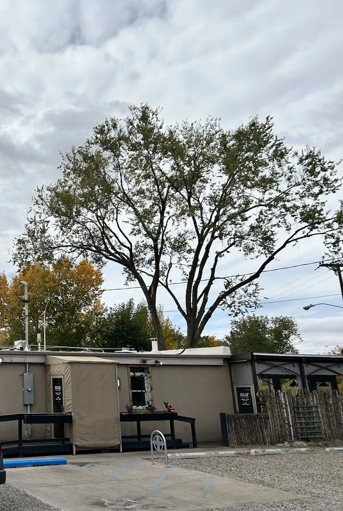 Local outdoor landscaping experts serving Santa Fe, NM - Henry’s Tree Experience