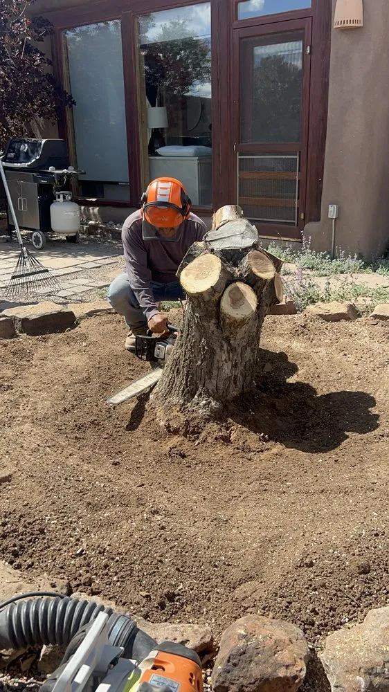 Local garden landscaping experts serving Santa Fe, NM - Henry’s Tree Experience