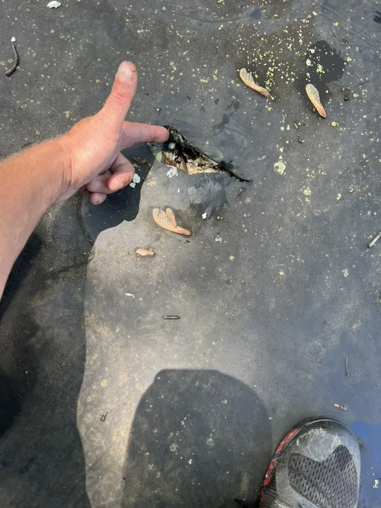 Reliable landscape installation for beautiful yards in Colonial Beach, VA by Hensley Homes