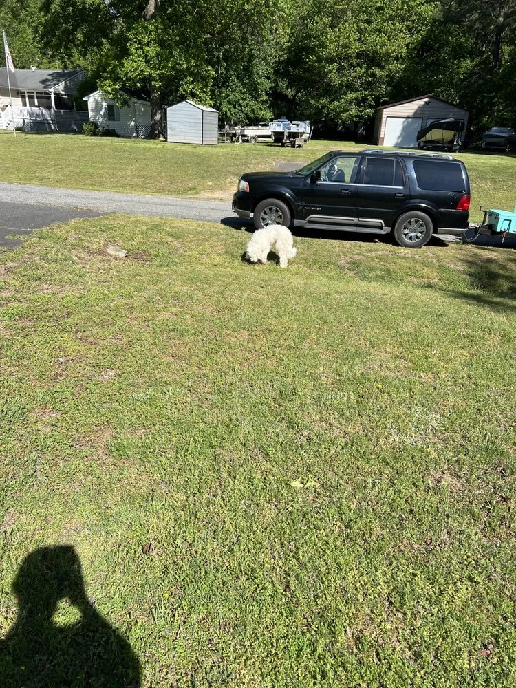 Top-rated residential landscaping with custom design in Colonial Beach, VA by Hensley Homes