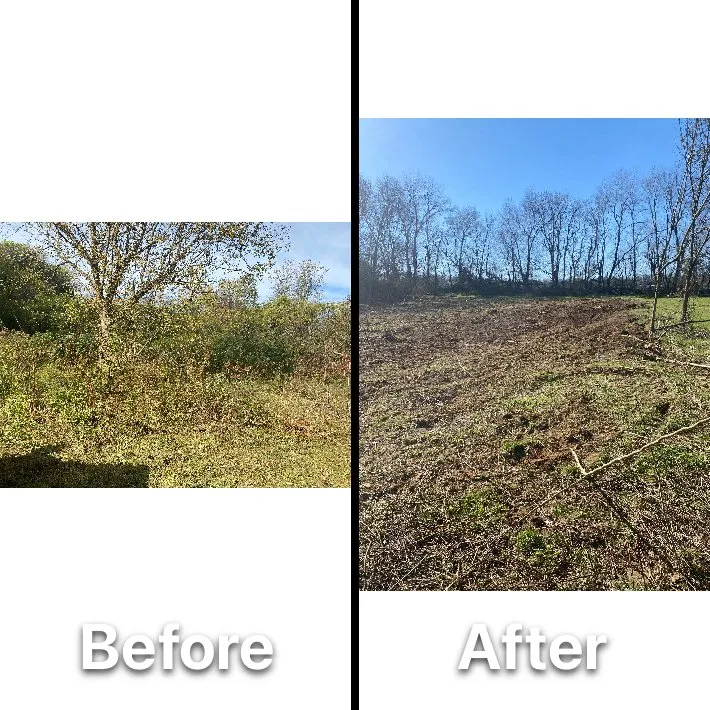 Reliable outdoor landscaping in Greeneville, TN by Hensley Junk Removal & Property Management