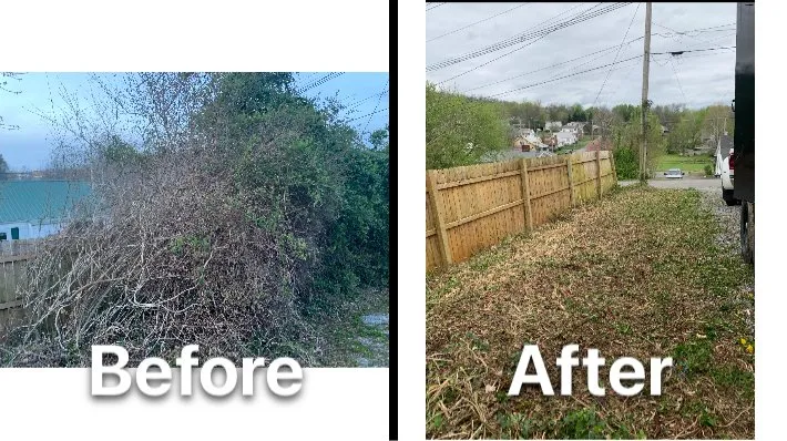 Local landscaping services in Greeneville, TN by Hensley Junk Removal & Property Management