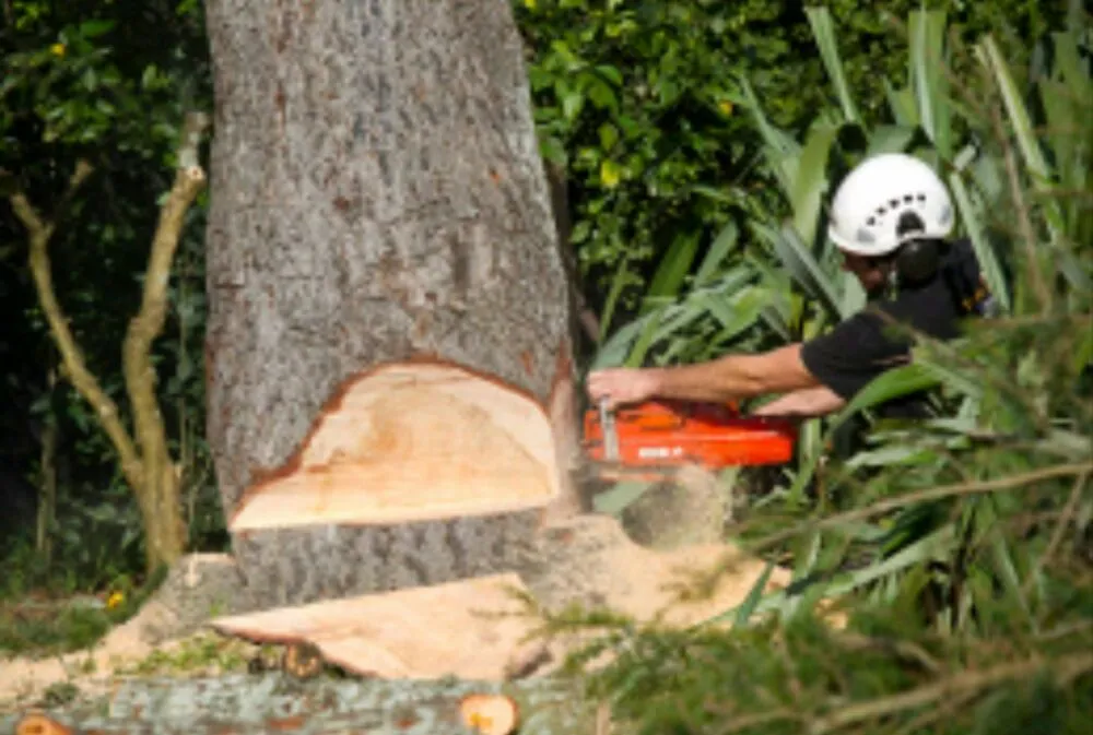 Reliable outdoor landscaping in Lignum, VA - Henson & Sons Landscaping & Tree Service