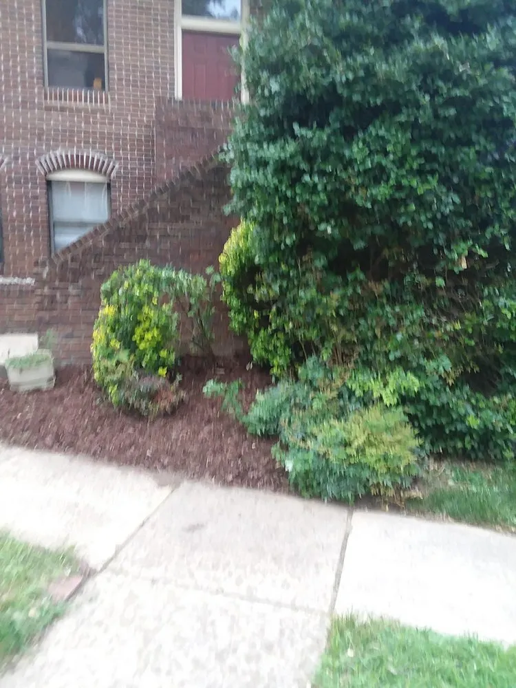 Professional residential landscaping experts serving Lignum, VA - Henson & Sons Landscaping & Tree Service