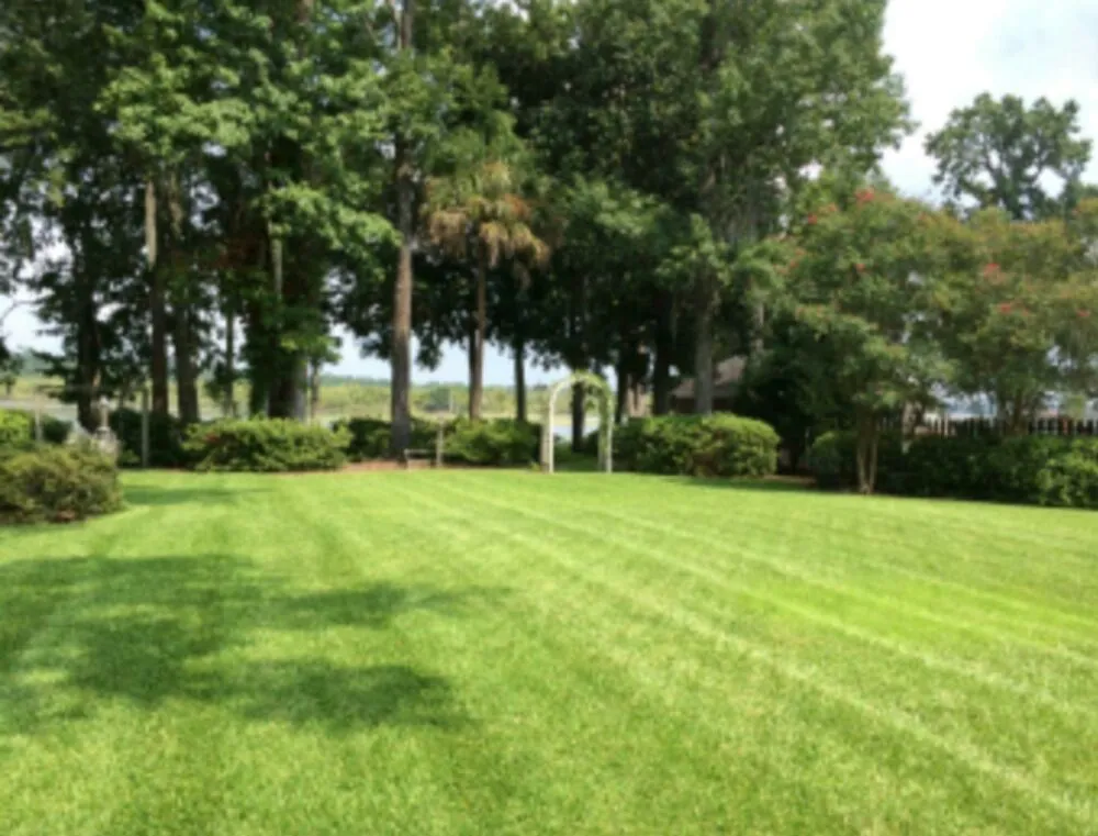 Local garden landscaping in Lignum, VA by Henson & Sons Landscaping & Tree Service