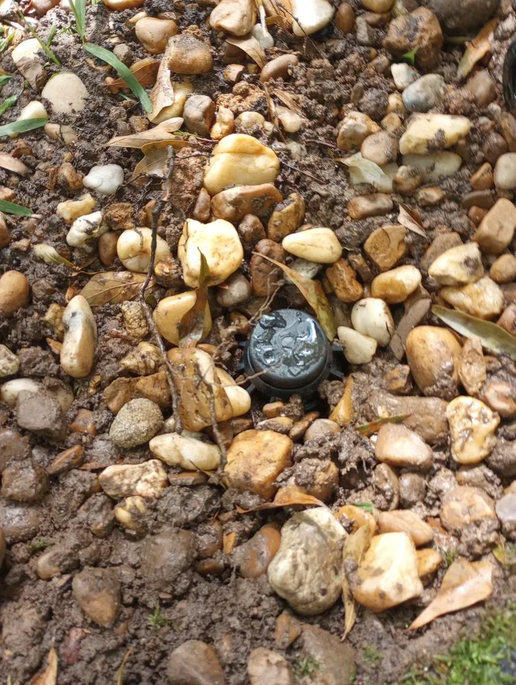 Professional garden landscaping in Forsyth, GA - Henson Proscapes