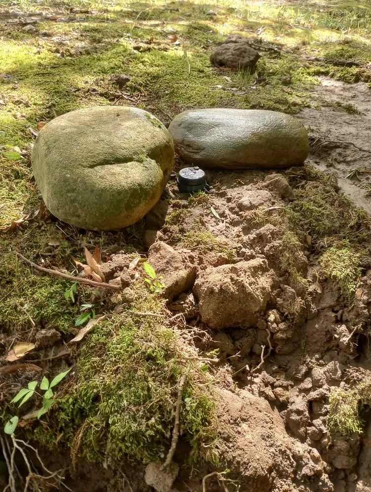 Local yard cleanup service in Forsyth, GA by Henson Proscapes