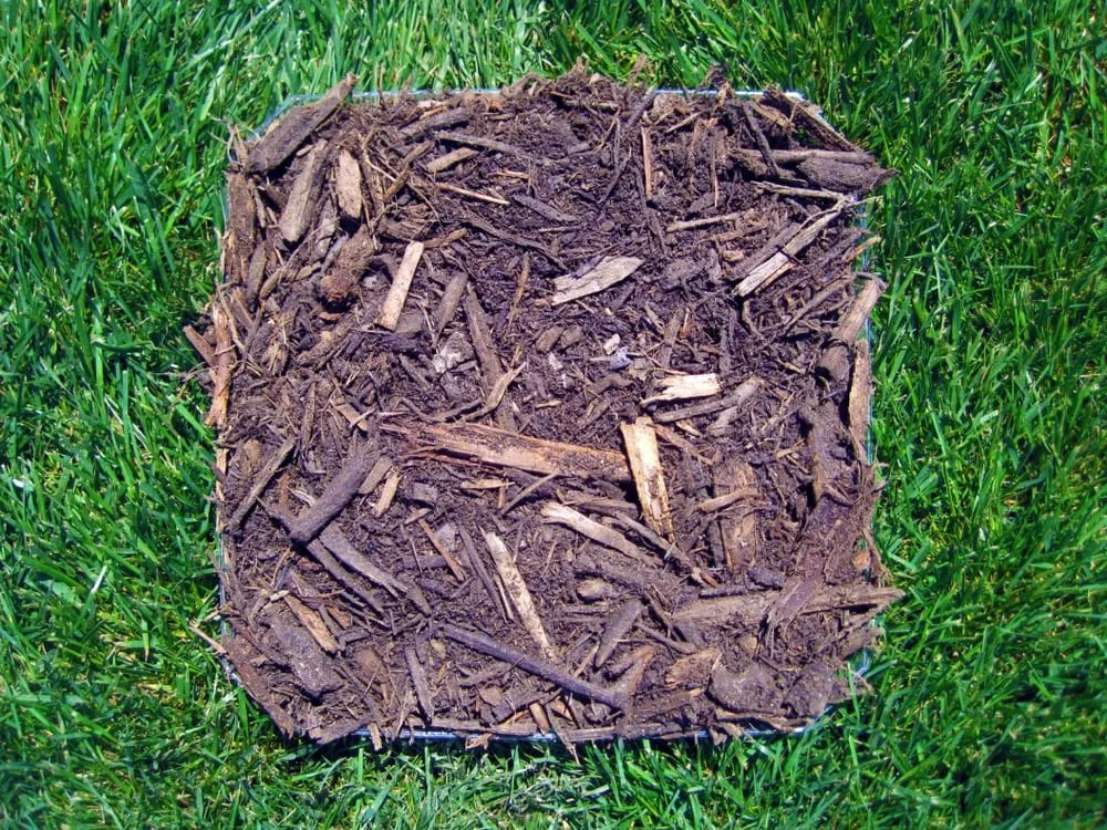 Custom yard maintenance in Pineville, NC - Hensons' Inc. Mulch & More