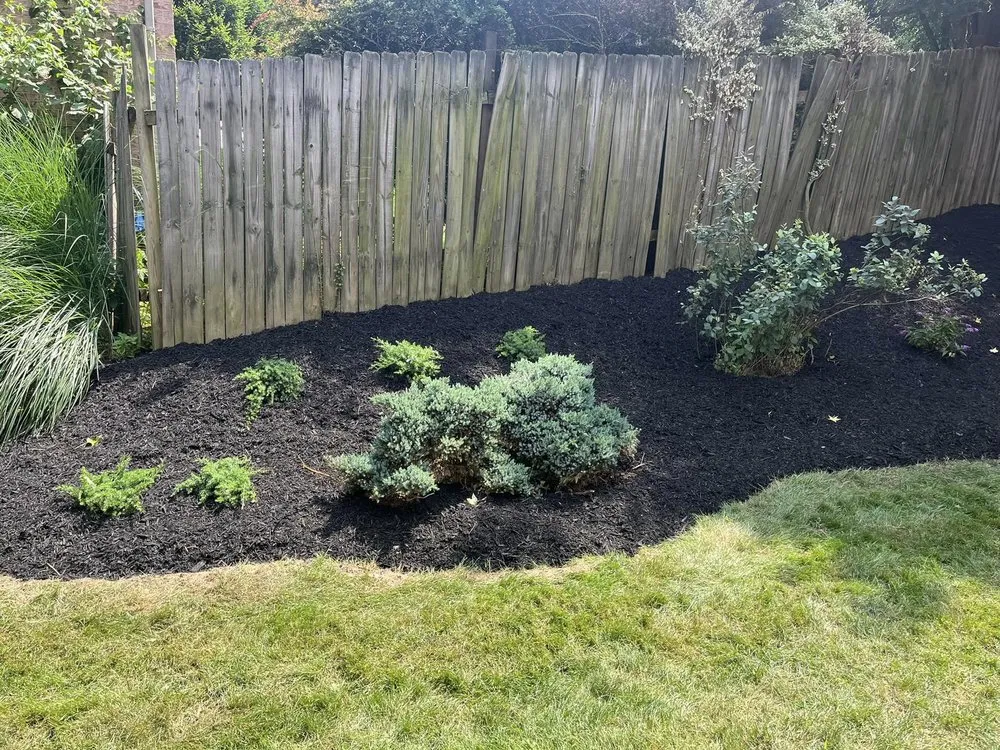 Local yard cleanup service in Gibsonia, PA - Hepp Landscaping