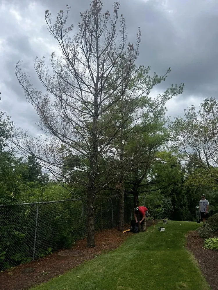 Trusted lawn mowing service in Gibsonia, PA by Hepp Landscaping