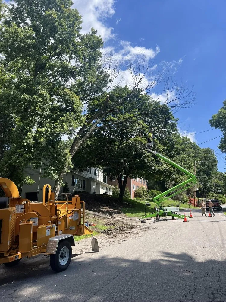 Top-rated outdoor landscaping for beautiful yards across Gibsonia, PA - Hepp Landscaping