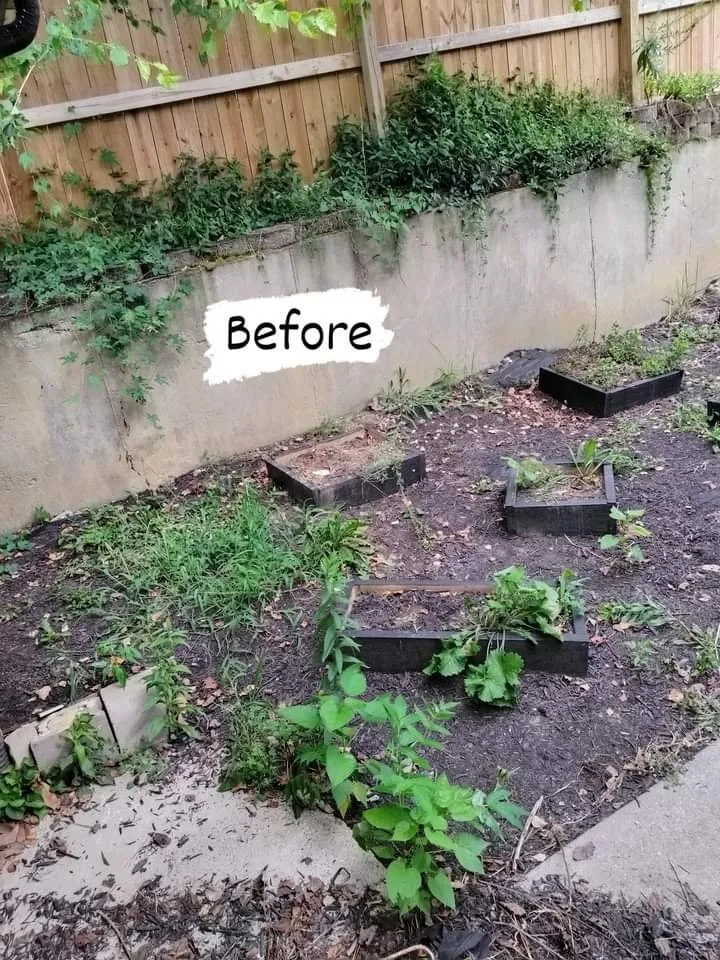 Affordable lawn care service in Louisville, KY - Her Gardenia Lawn Care Service