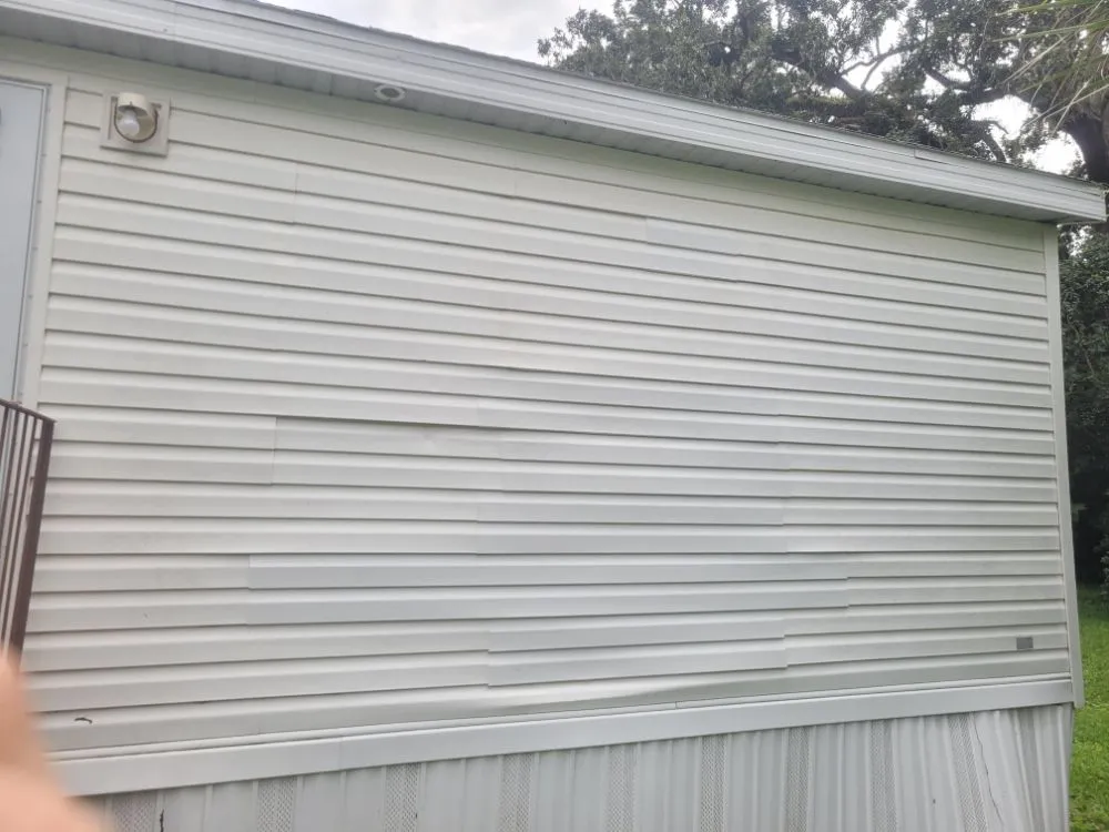 Top-rated yard cleanup service in Lakeland, FL - Her Handywork