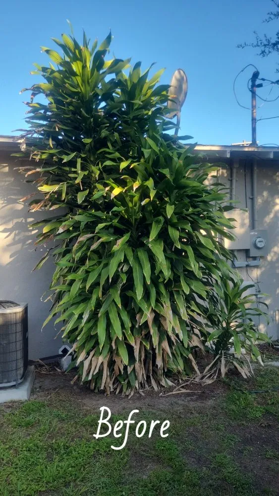 Reliable lawn mowing service experts serving Lakeland, FL - Her Handywork