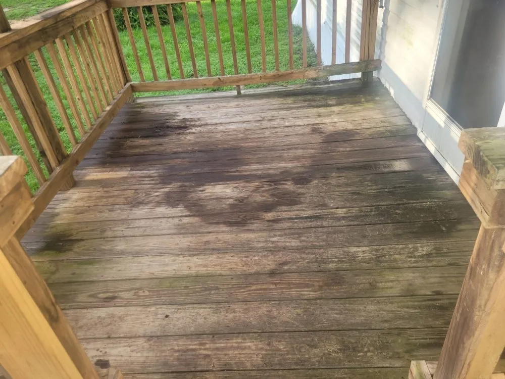 Top-rated lawn care service experts serving Lakeland, FL - Her Handywork