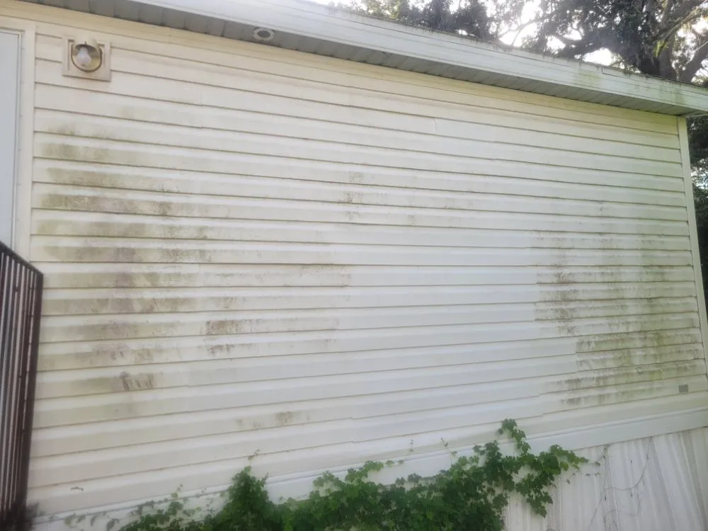 Expert yard maintenance in Lakeland, FL by Her Handywork