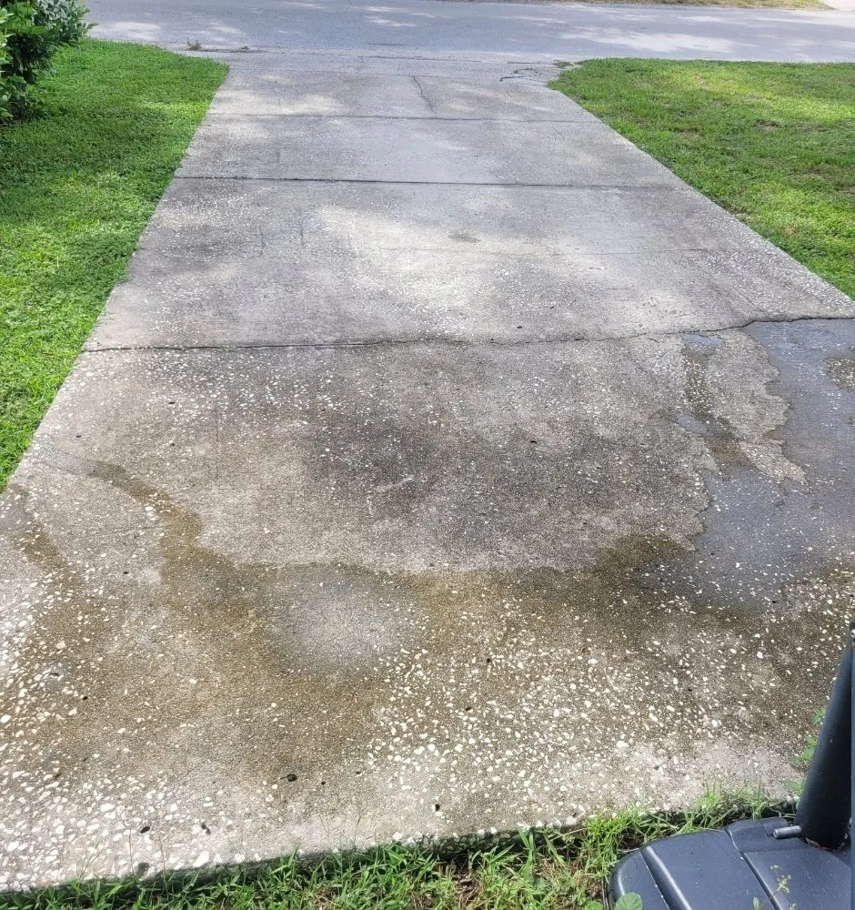 Local yard cleanup service experts serving Lakeland, FL - Her Handywork