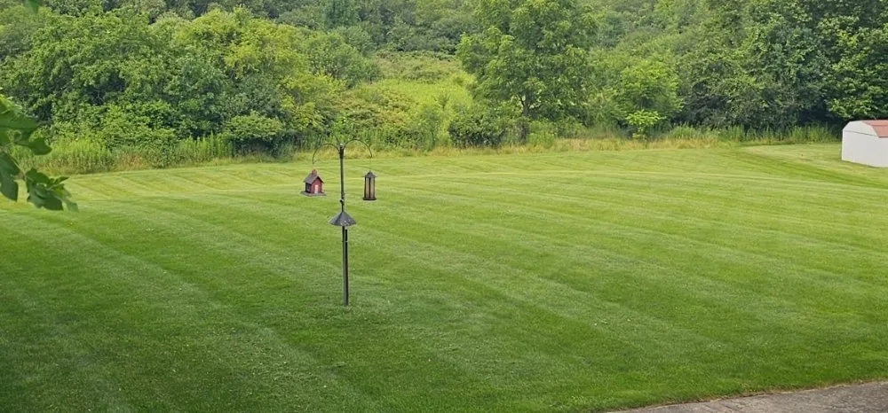 Trusted yard maintenance experts serving Waukesha, WI - Heraldo Landscaping Services