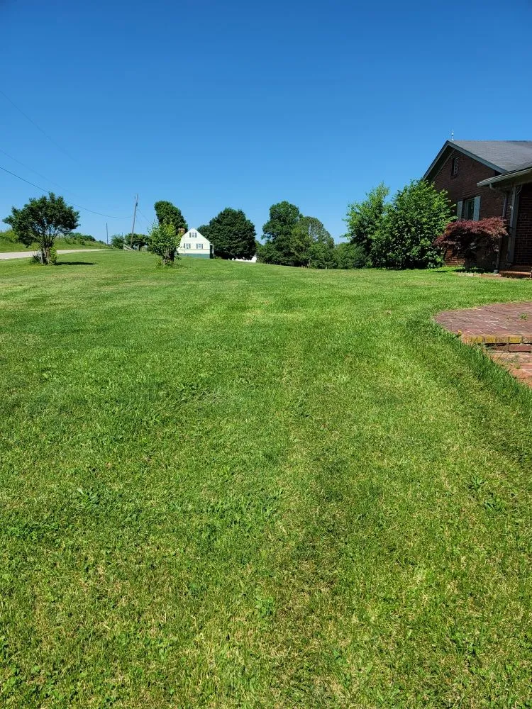 Reliable lawn mowing service experts serving Maysville, KY - Herald's Lawn Care And More