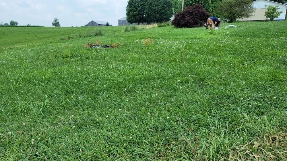 Top-rated yard maintenance in Maysville, KY - Herald's Lawn Care And More