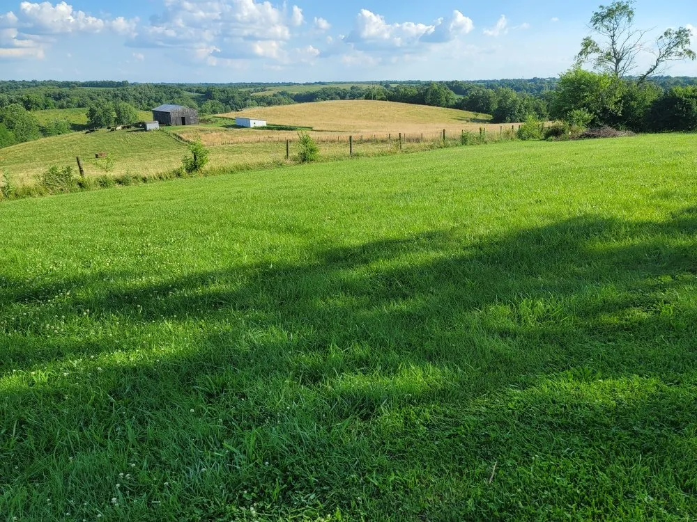 Affordable lawn mowing service in Maysville, KY by Herald's Lawn Care And More