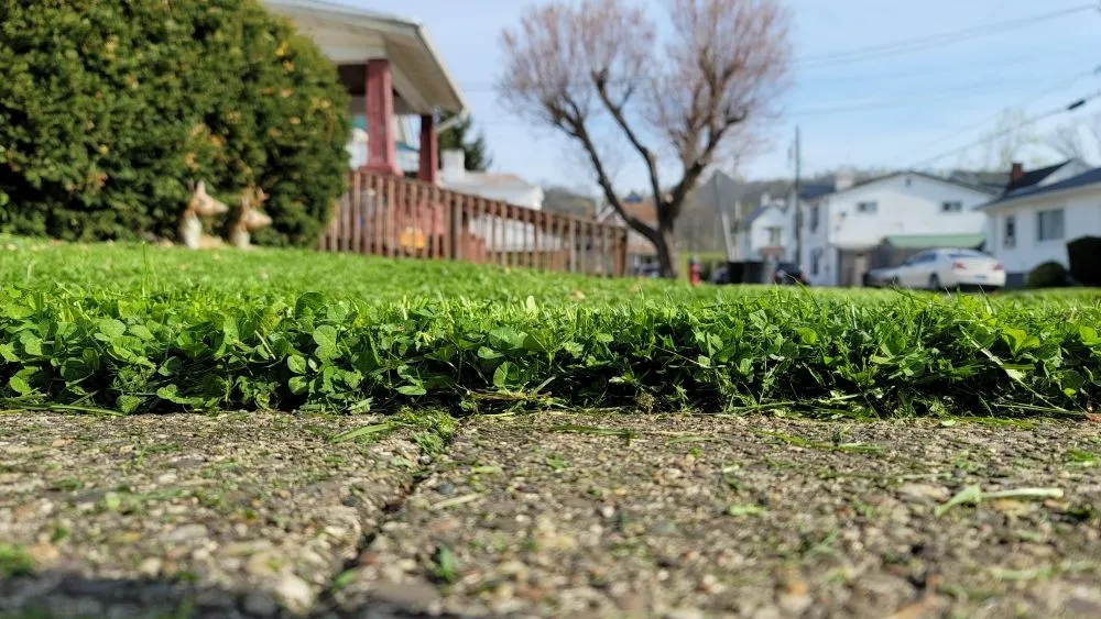 Professional landscape design in Maysville, KY by Herald's Lawn Care And More