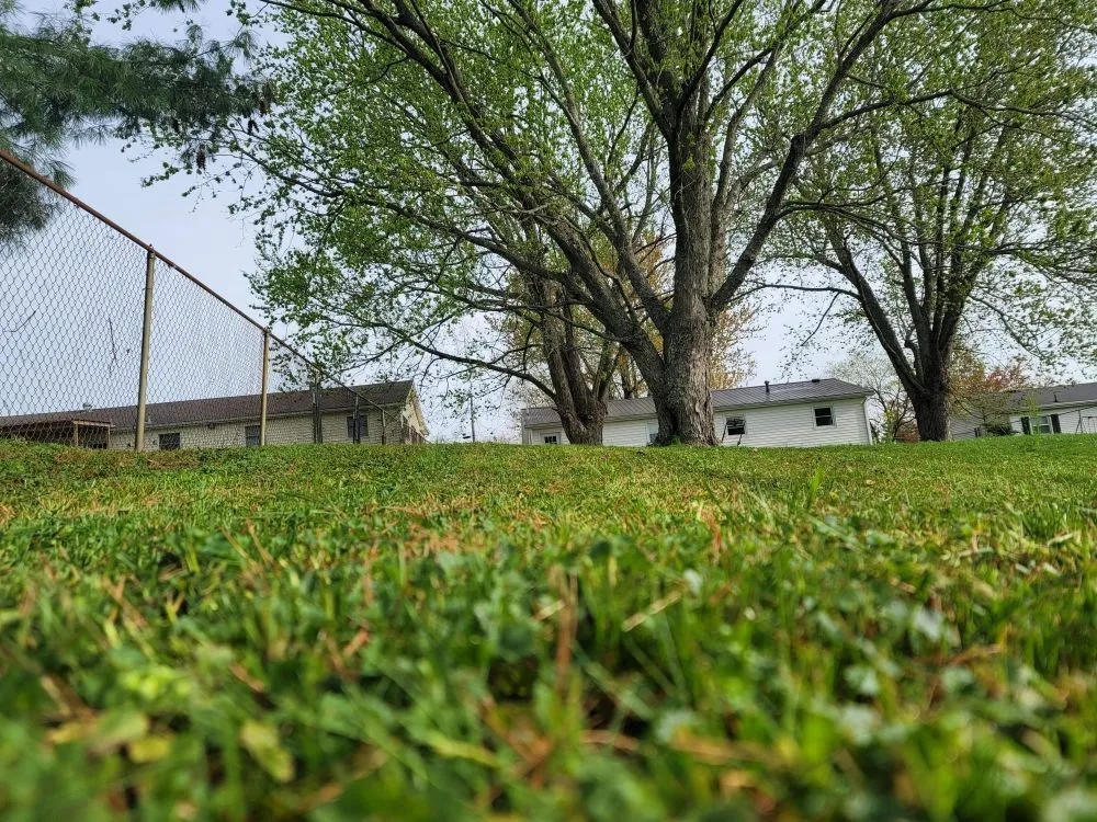 Top-rated yard maintenance experts serving Maysville, KY - Herald's Lawn Care And More