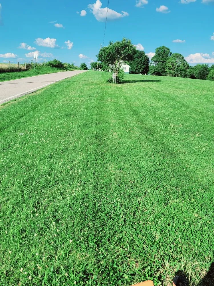 Reliable lawn mowing service for outdoor upgrades across Maysville, KY - Herald's Lawn Care And More