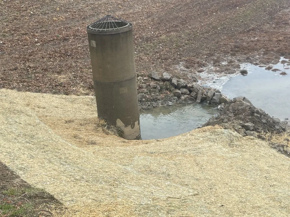 Expert landscape installation in Loganville, GA by Herba Rex