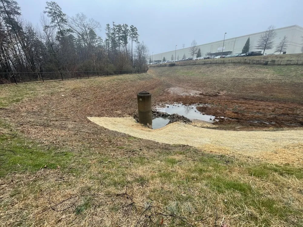 Professional yard maintenance for homes across Loganville, GA - Herba Rex