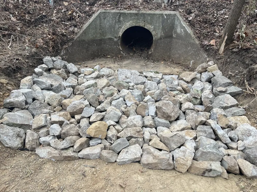 Expert yard cleanup service experts serving Loganville, GA - Herba Rex