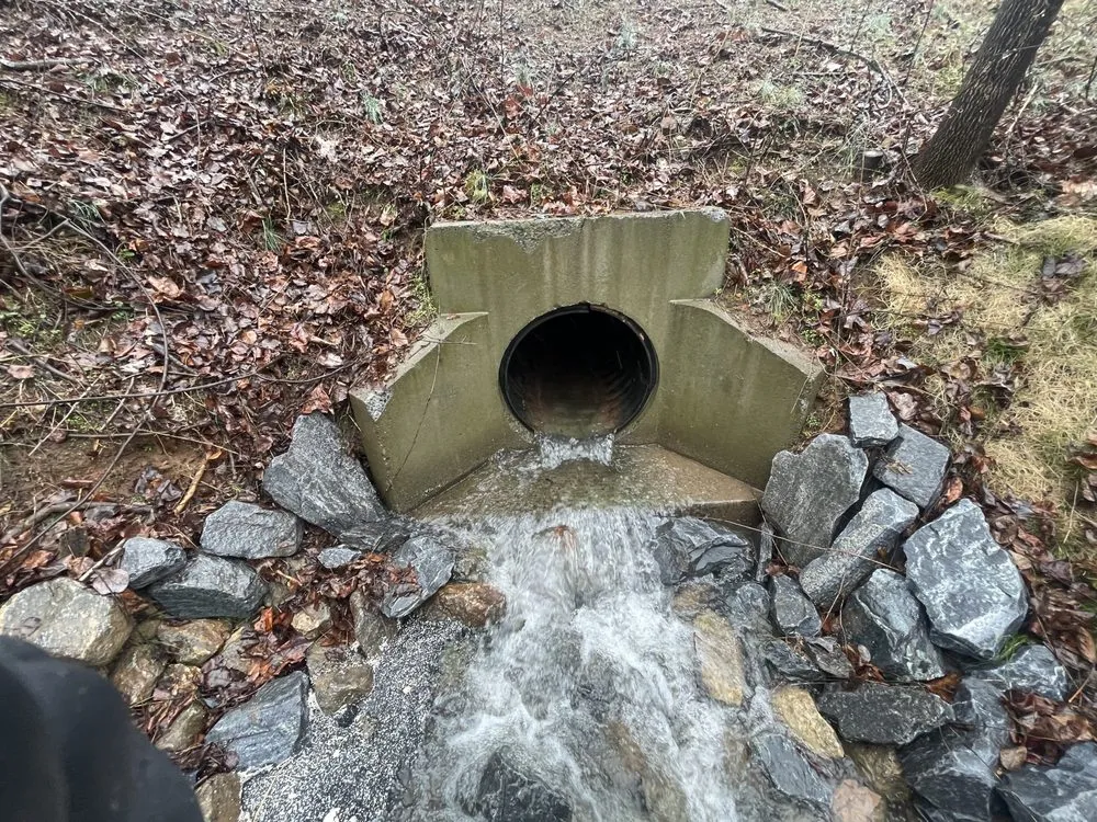 Local garden landscaping in Loganville, GA by Herba Rex