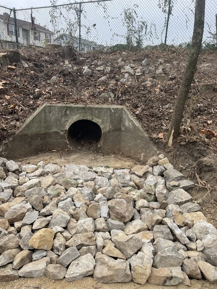 Local lawn care service in Loganville, GA - Herba Rex