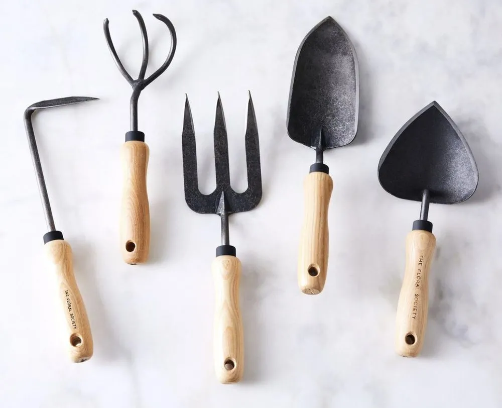 Top-rated yard cleanup service in Greenwood, SC - Herbal Gardens Homestead Garden Design & Lawn Care