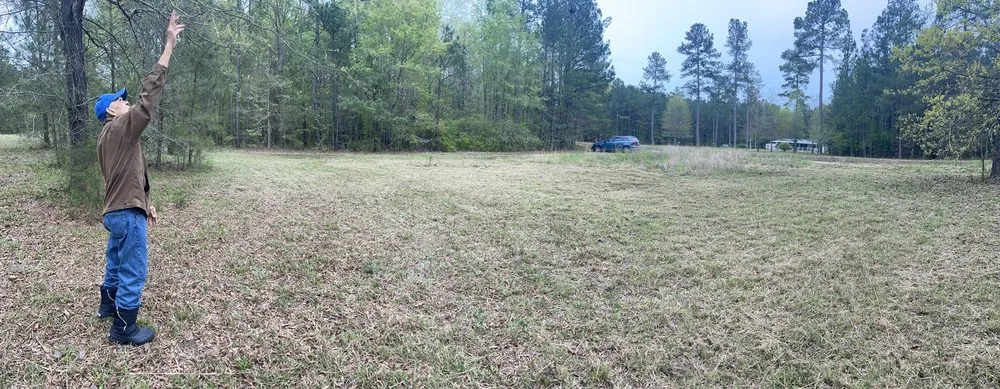 Reliable landscaping services for residential properties across Greenwood, SC - Herbal Gardens Homestead Garden Design & Lawn Care