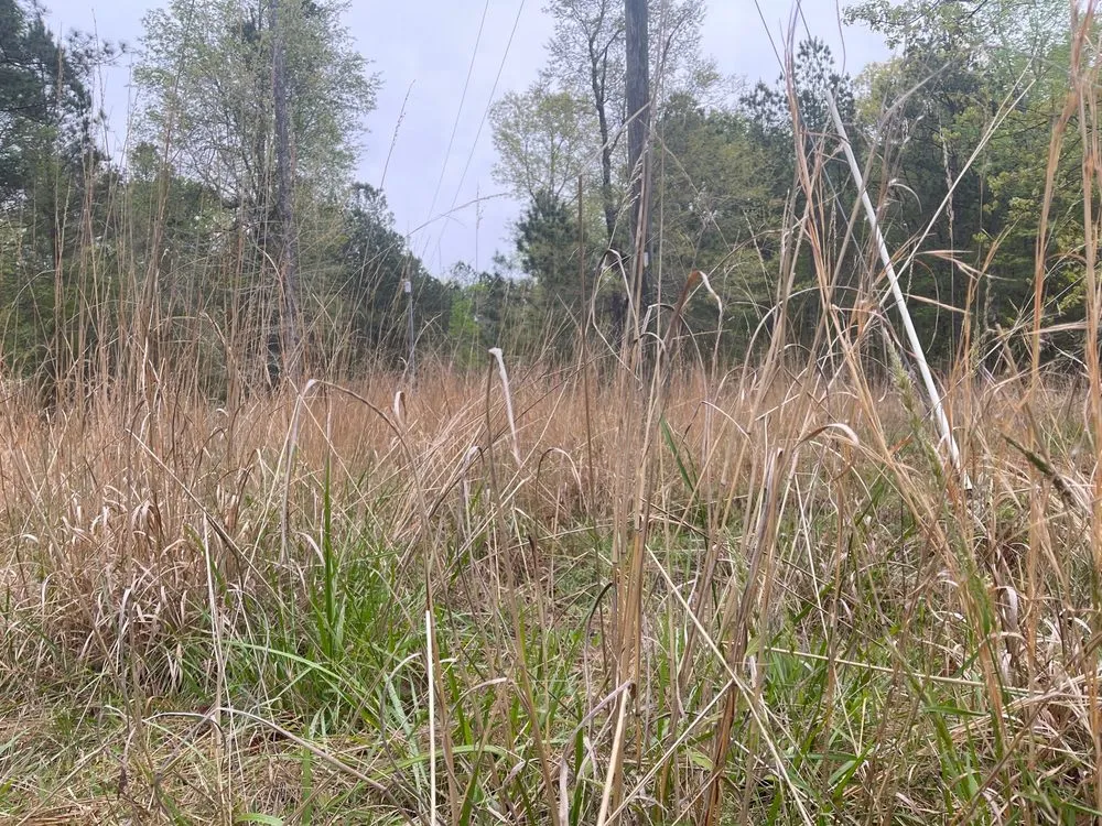 Reliable garden landscaping in Greenwood, SC by Herbal Gardens Homestead Garden Design & Lawn Care