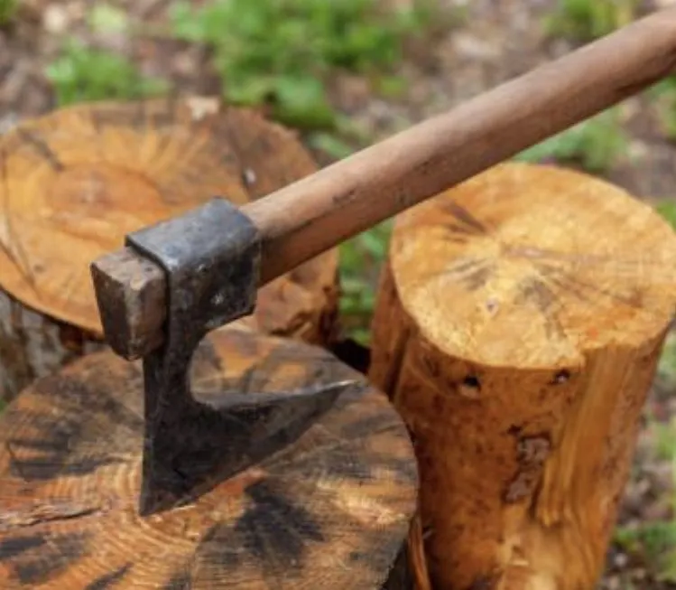 Professional garden landscaping in Greenwood, SC - Herbal Gardens Homestead Garden Design & Lawn Care