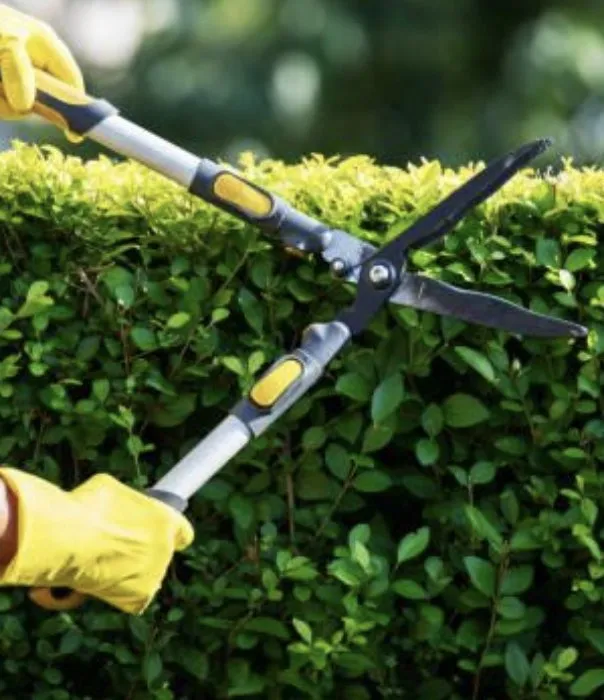 Reliable yard maintenance near you across Greenwood, SC - Herbal Gardens Homestead Garden Design & Lawn Care