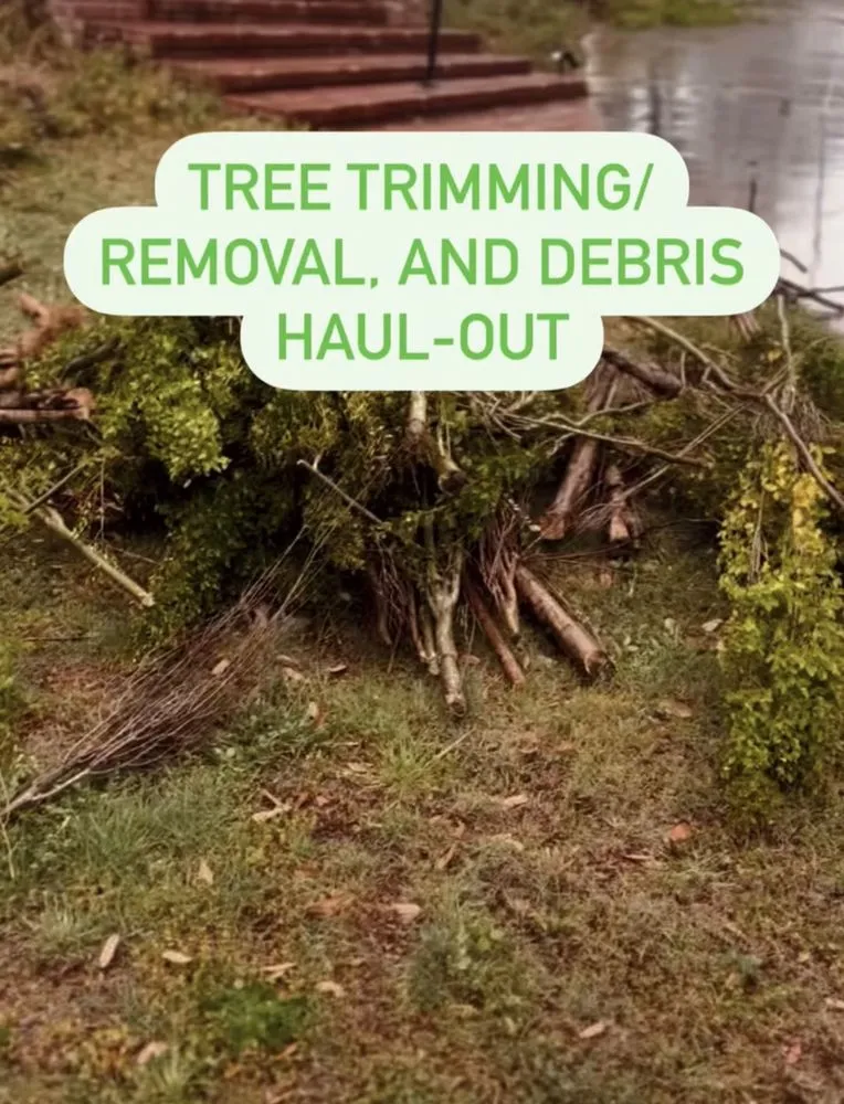 Reliable outdoor landscaping in Lacy-Lakeview, TX by HerbaLawn
