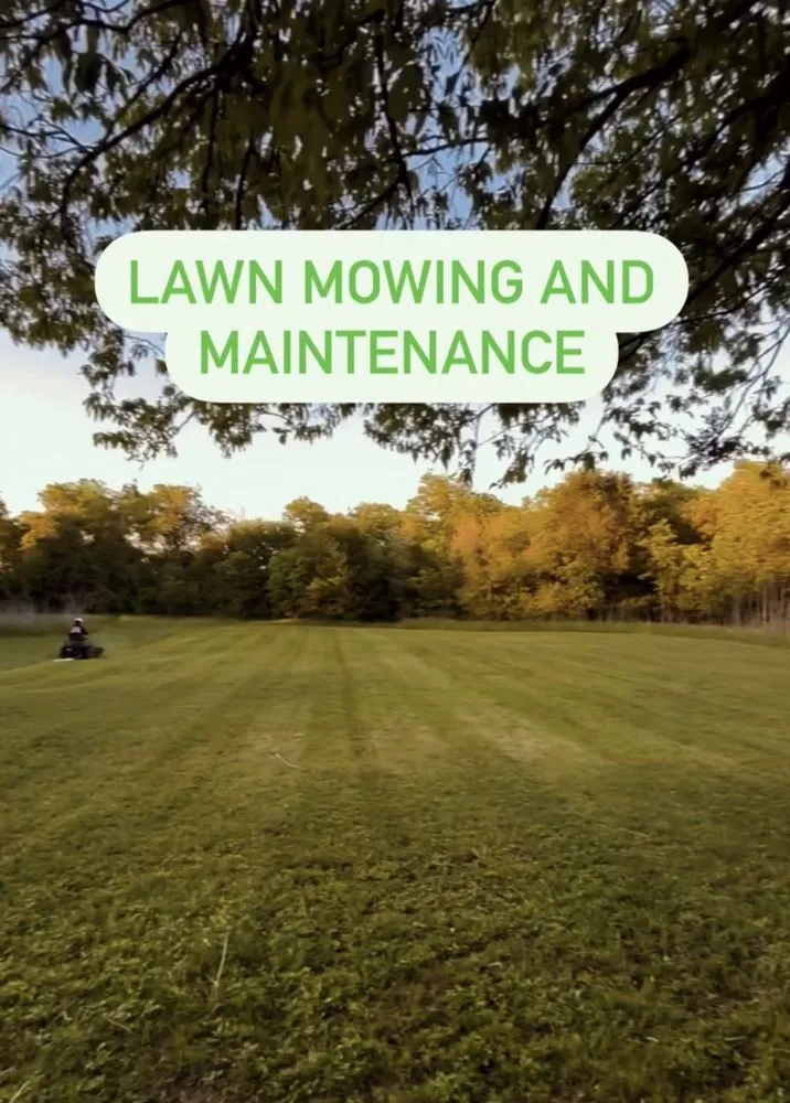 Expert yard maintenance for outdoor upgrades in Lacy-Lakeview, TX by HerbaLawn